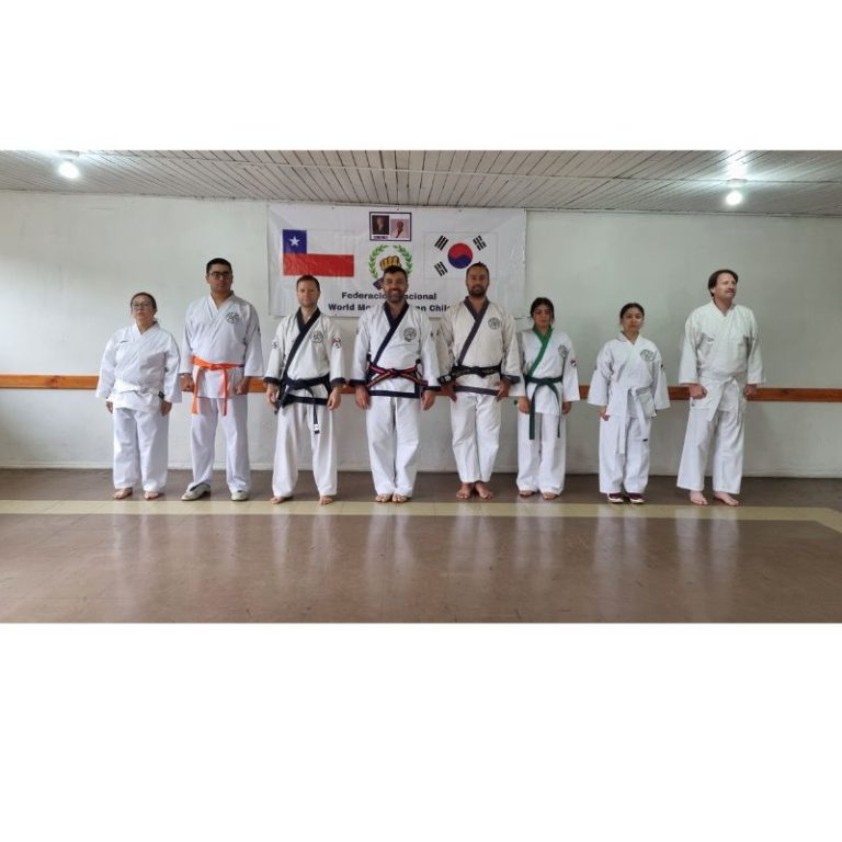 1er seminario técnico Soo Bahk Do Concepción